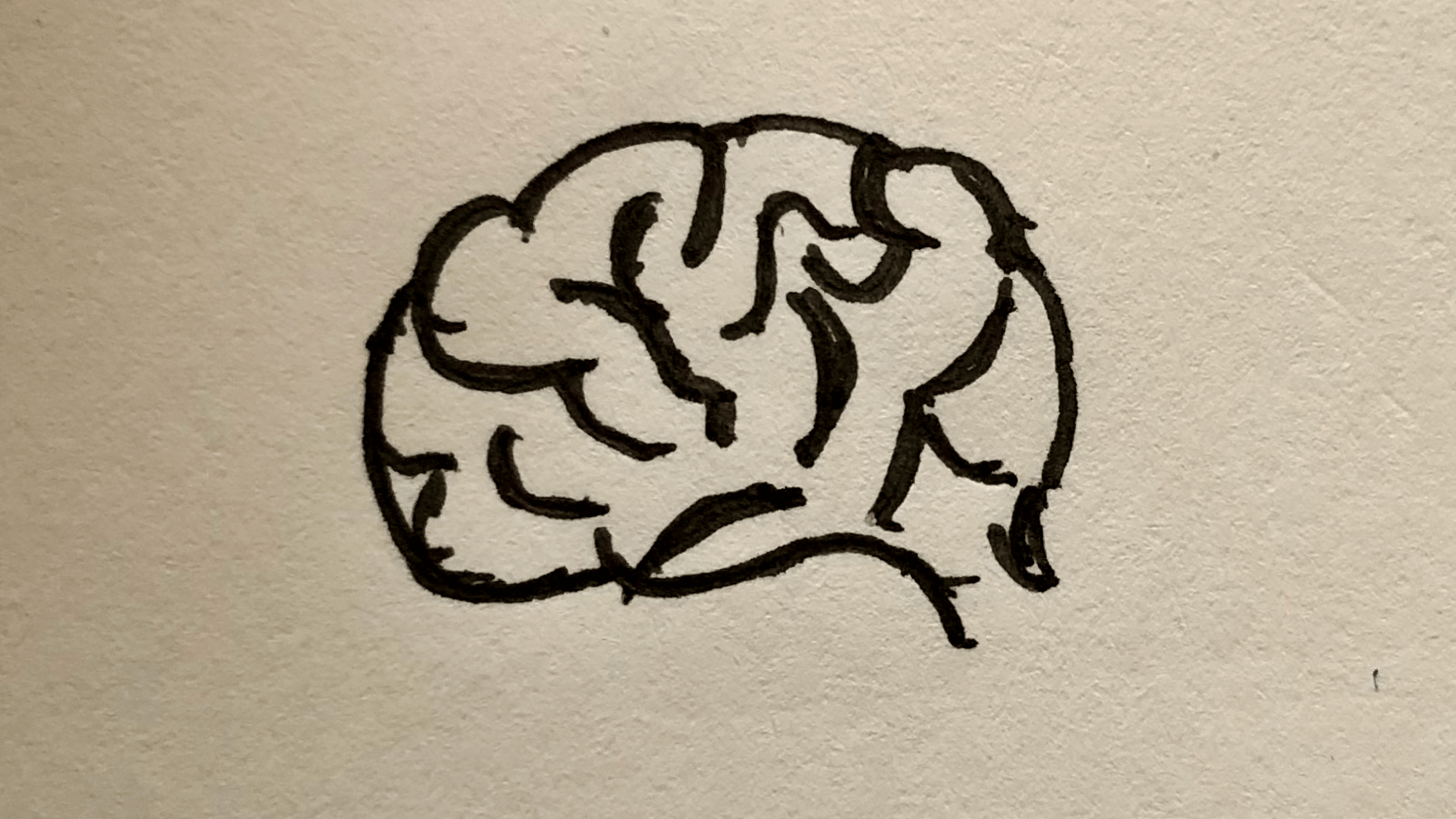Sketch illustration of a brain